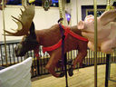 New Carved Moose Outside Row Jumper